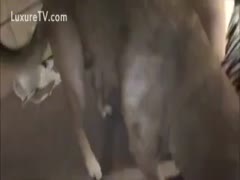 A bitchy, unfaithful wife who craves dog flesh